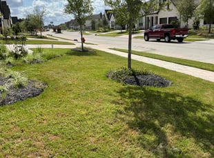 Latasha J.'s lawn care services service result