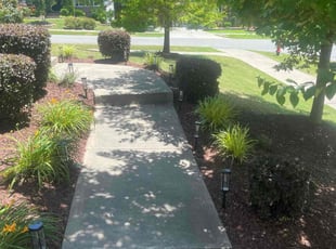 Justin T.'s Bush Trimming service result