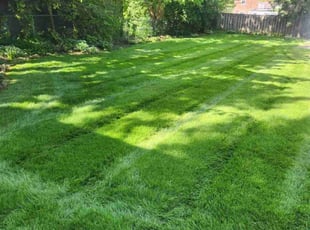 Don R.'s grass cutting service result