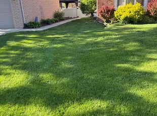 Jimmie R.'s grass cutting service result