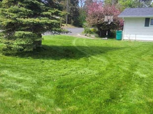 Gloria S.'s turf care service result