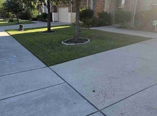 Tanesha J.'s grass cutting service result