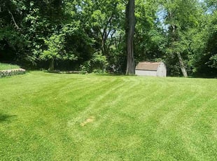 Mary A.'s grass maintenance service result