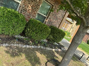 Keith S.'s Bush Trimming service result