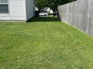Nara C.'s turf maintenance service result