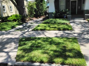 Charnelle L.'s grass maintenance service result