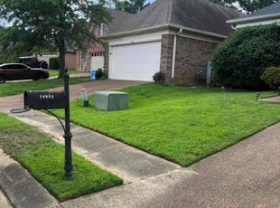 Annie W.'s grass cutting service result