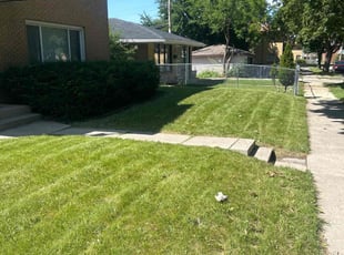 Alnettia J.'s lawn service service result