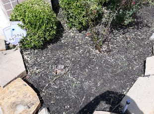 Allison M.'s Flower Bed Weeding service result