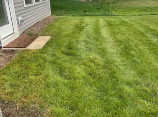 Robin P.'s lawn care service result