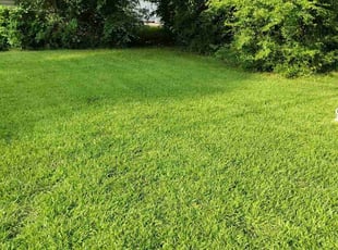 Amanda S.'s lawn service service result