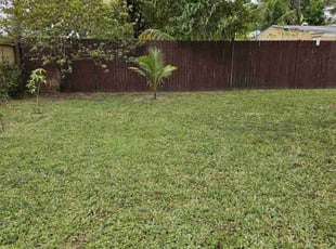 Tanisha H.'s turf maintenance service result