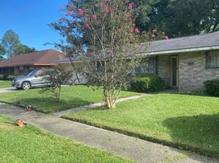 Angel L.'s lawn service service result