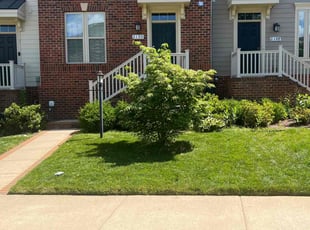 Timothy G.'s grass maintenance service result