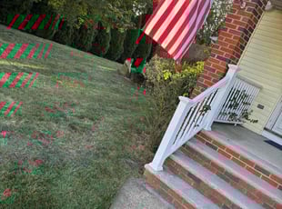 Sue C.'s lawn care service result