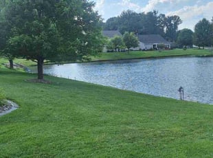 Diana A.'s lawn care service result