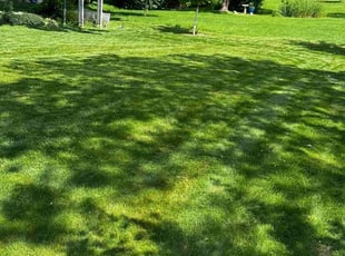 Oscar L.'s lawn care services service result
