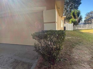 Allison F.'s turf care service result