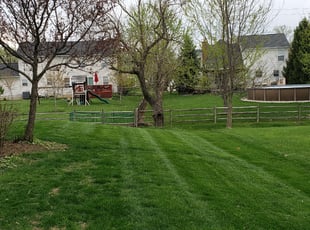 Regina R.'s lawn care services service result