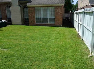 Shaddiff W.'s landscaping services service result