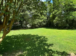 Lorrainna B.'s lawn care services service result