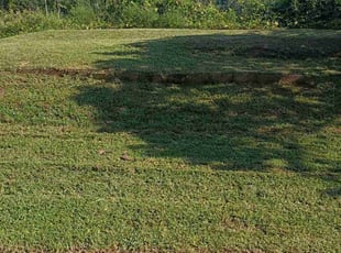 Linda K.'s lawn maintenance service result