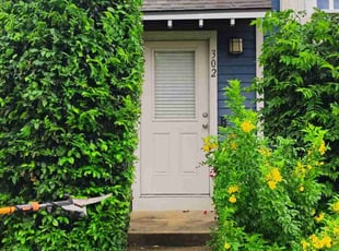 Mary P.'s Bush Trimming service result