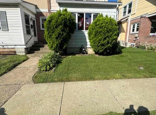 Michelle B.'s turf care service result