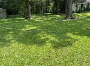 Carla R.'s turf care service result