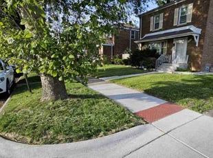 Sherita B.'s turf care service result