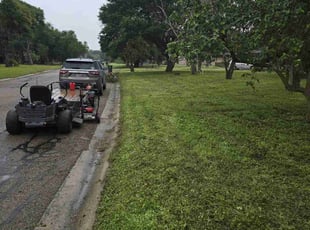 Mark P.'s lawn care services service result