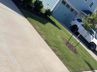 Byron B.'s grass maintenance service result