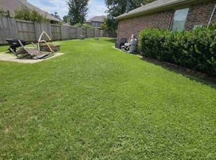 Cathy C.'s lawn care service result