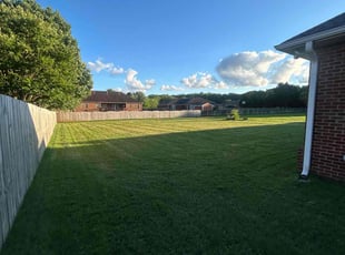 Dave J.'s grass cutting service result