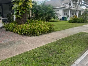 Joyce Y.'s grass cutting service result