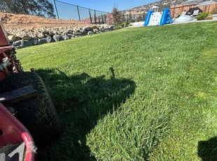 Michelle H.'s lawn care service result