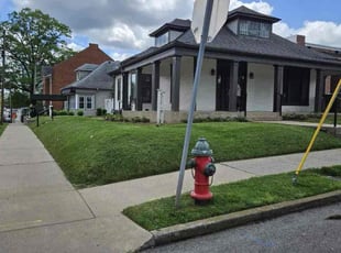 Dalton W.'s turf maintenance service result