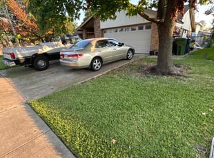 Jacqueline S.'s lawn care service result