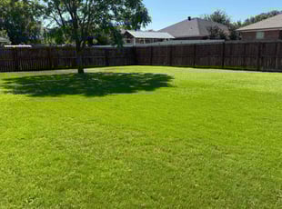 Doris T.'s grass maintenance service result