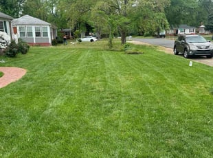 Aubree A.'s lawn service service result