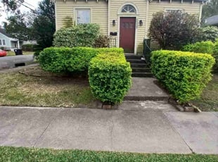 Lynda J.'s lawn service service result