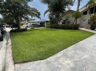 Will R.'s grass maintenance service result