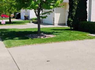 Ashlee G.'s grass maintenance service result