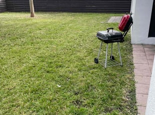 Phyllis D.'s grass maintenance service result