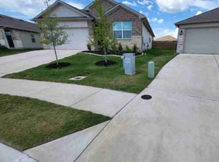 Sara D.'s turf care service result