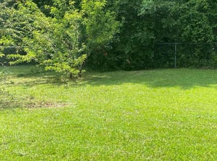 Karoleigh M.'s turf care service result