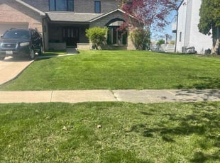 Dani L.'s lawn maintenance service result
