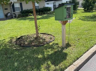 Ferdy D.'s lawn care service result