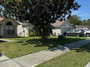 Patrick C.'s grass cutting service result