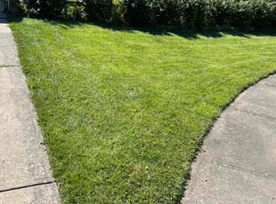 Ebony J.'s grass maintenance service result